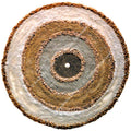 "Circle of Life"