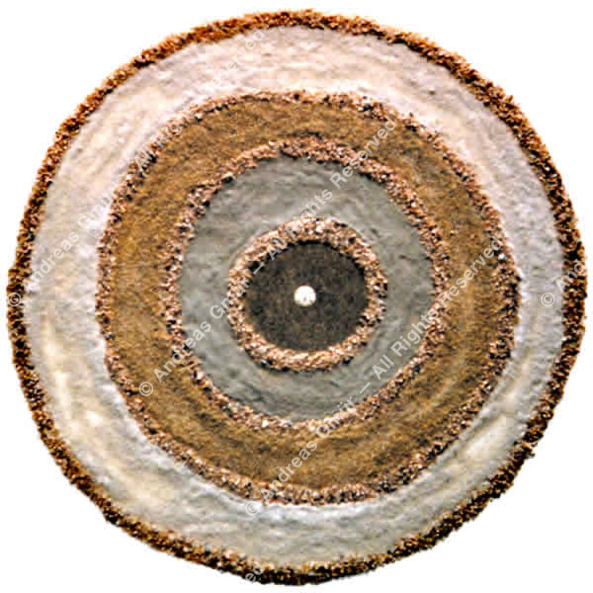 "Circle of Life"